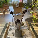 Spring 3* ريميني