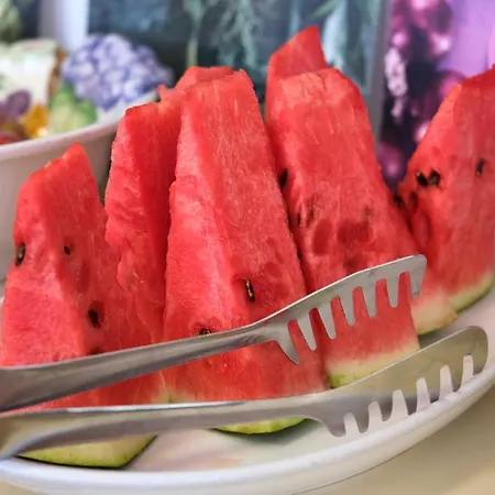 Szálloda Spring Rimini