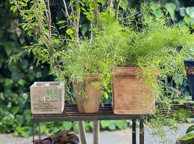 Spring Ξενοδοχείο Ρίμινι