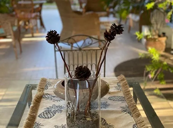 Spring 3* Ρίμινι